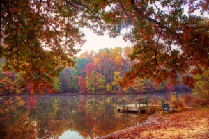 autumn, lake, virginia, fall, color, leaves, angela b. pan, abpan, hdr, travel, landscape,