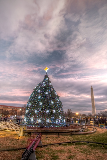 National Christmas Tree in Washington DC