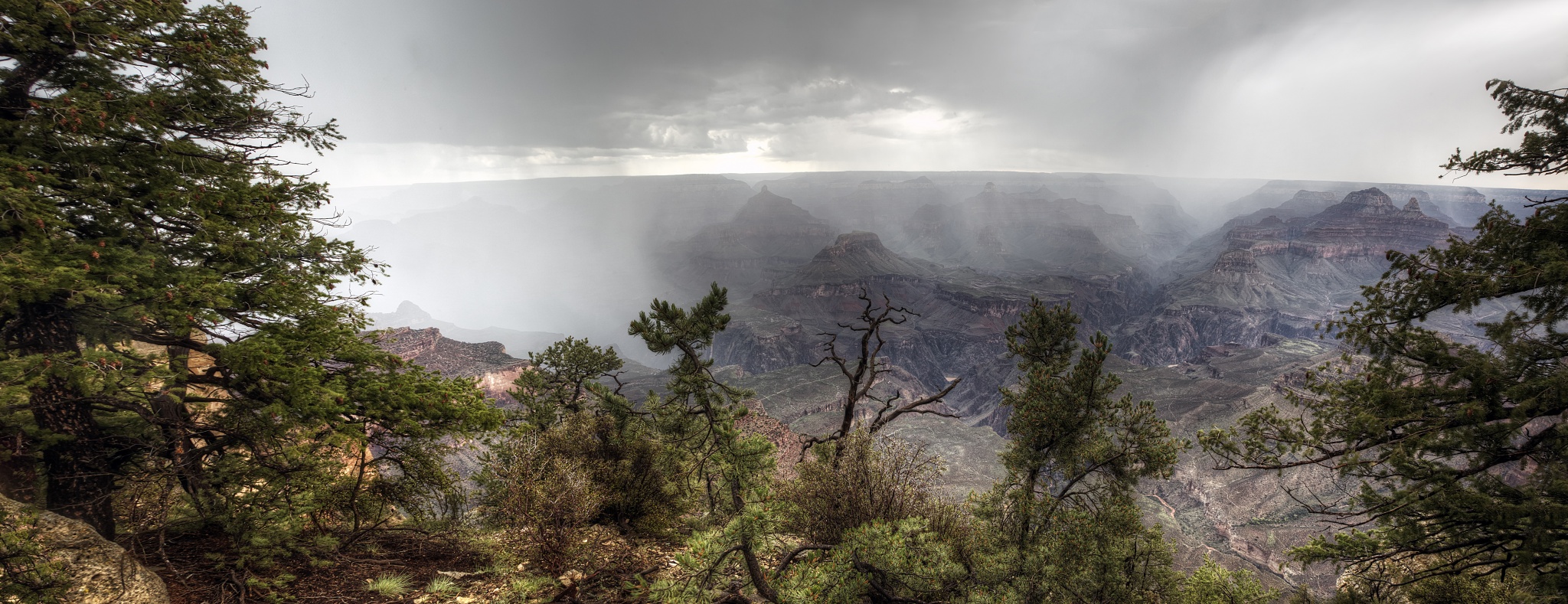 Grand Canyon in the Rain
