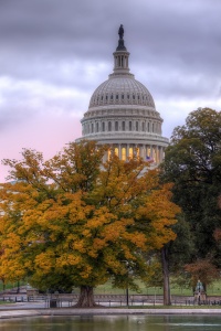 capitol, capital, washington dc, architecture, fall, autumn, fall, leaves, colors, sunrise, washington dc, travel, united states, usa, america, dome