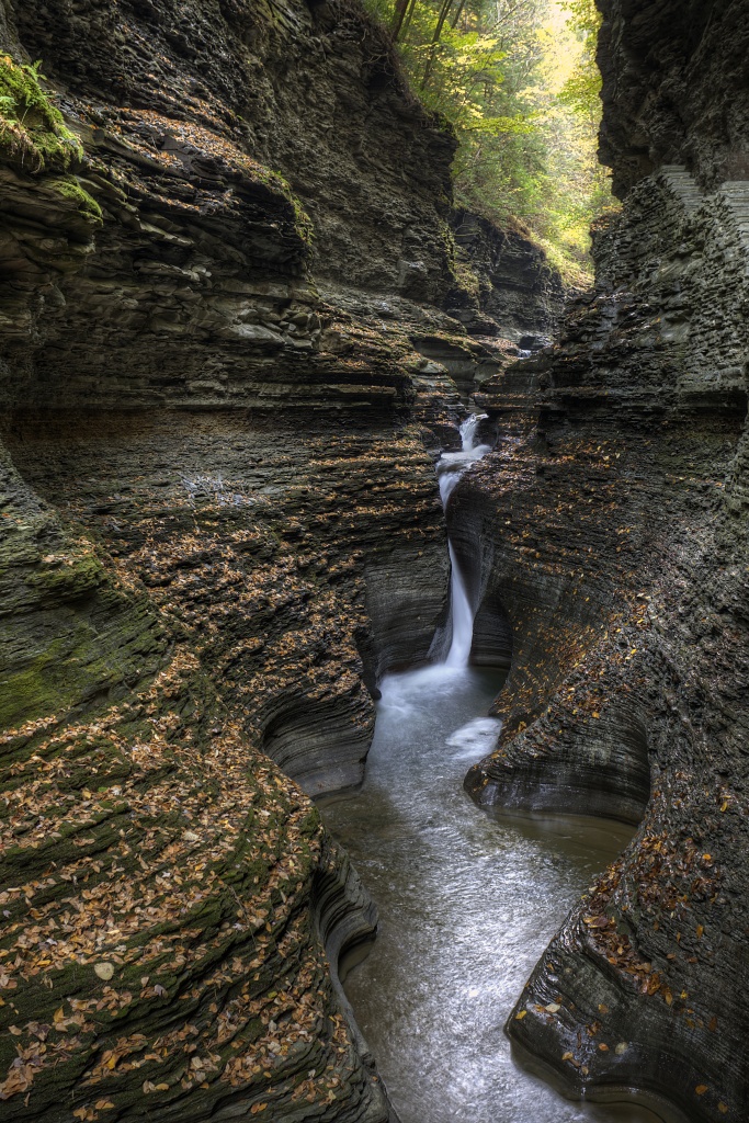 watkins glen, new york, upstate, travel, water, leaves, autumn, ny, state park