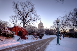 capitol, capital, washington dc, snow storm, snow, trees, path, washington dc, travel, winter