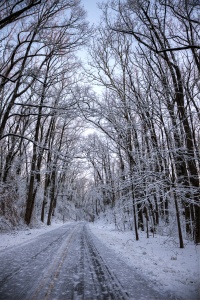 snow, trail, trees, great falls, virginia, hercules, ice, va, sunrise, travel, united states, usa