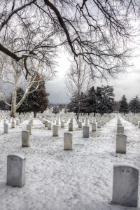arlington national cemetery, snow, winter, graves, trees, va, travel, hdr, spring,