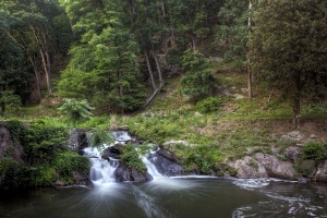 great falls, maryland, waterfall, trees, woods, md, travel, landscape,