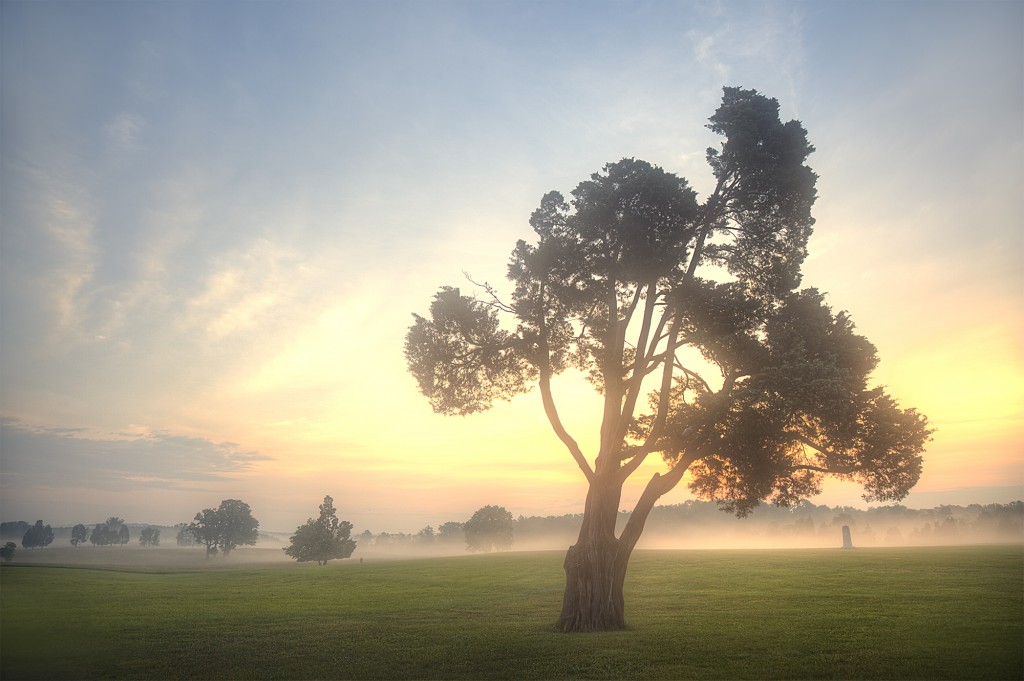 manassas, sunrise, tree, battlefield, va, virginia, national park, national battlefield, tree, clouds, fog, sunrise