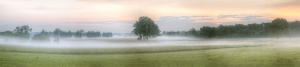 Manassas, Virginia, battlefield, fog, early morning, battlefield, historic, va, virginia