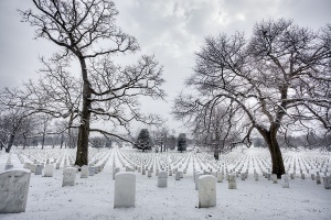 arlington national cemetery, snow, winter, trees, symmetry, virginia