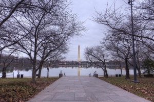 washington monument, tidal basin, dark, trees, fog, clouds, skies, weather, washington dc, visit, tours, path
