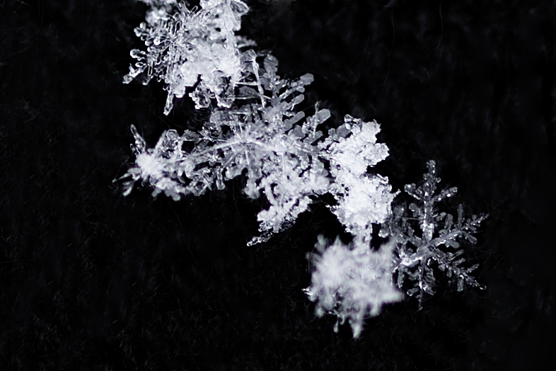 macro, close up, winter, snow, snowflakes, snow crystals, details, close up, macro, winter, white