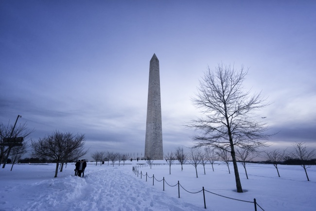 washington monument, washington dc, snow, snowzilla, blizzard, tree, cold, winter,
