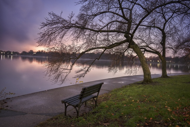 tidal basin, sunset, fog, weather, winter, trees, cherry blossom, bench, washington dc, visit,