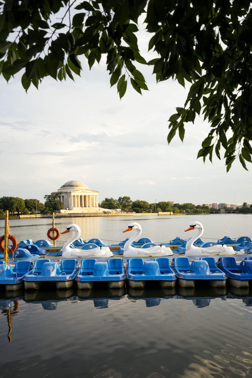 Paddle Boats DC