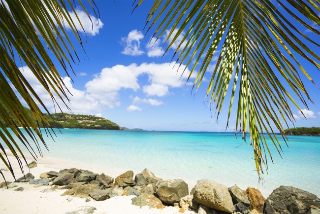 st john, cinnamon bay, trunk bay, beach, palm tree, rocks, white sand, clear water, virgin islands, usvi, caribbean, travel, beach bum
