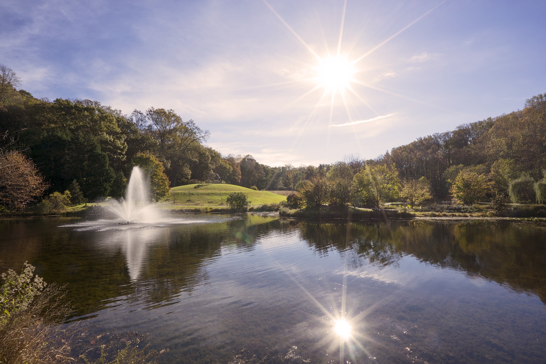 meadowlark botanical gardens