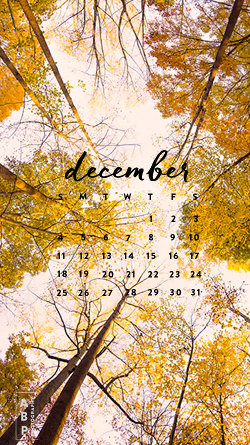 December-Wallpaper Download_Angela B Pan
