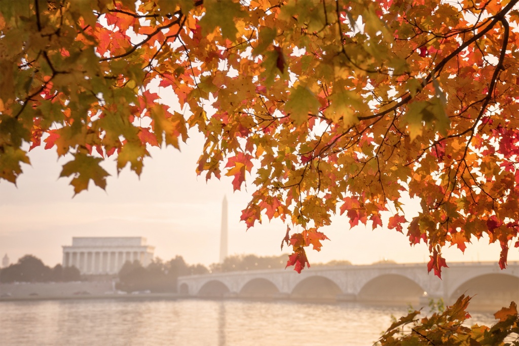 theodore roosevelt, island, trail, leaves, trail, sunrise, early morning, gw parkway, george washington parkway, early morning, potomac river, autumn, virginia, va, dc, nature, lincoln memorial, washington monument, memorial bridge, sunrise, washington dc