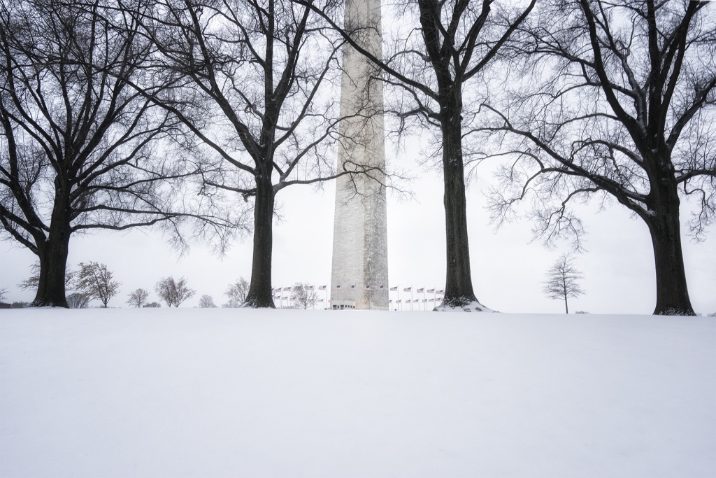 winter, washington dc, washington monument, trees, cold, snow, winter storm stella, spring, cherry blossom trees, sleet, slush, smithsonian, foggy bottom, metro, national museum of african american history and culture, hill, monument, trees,