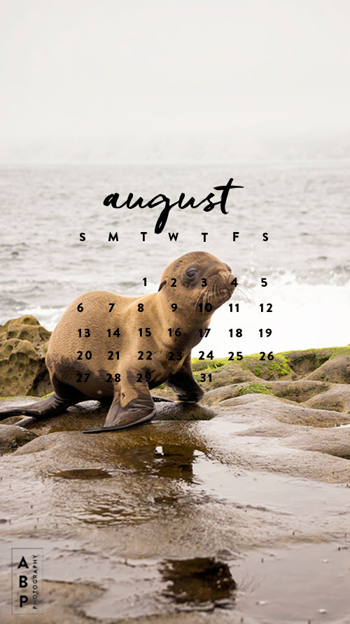 August-Wallpaper Download_Angela B Pan