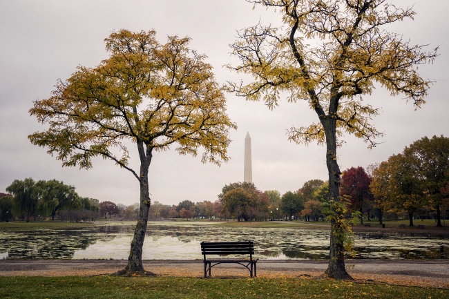 constitution gardens, pond, trees, fall colors, autumn, fall foliage, washington dc, national mall, travel, visit, east coast, lobsters, traveling, maine, bar harbor, circular polarizers, photographer, photo, camera settings