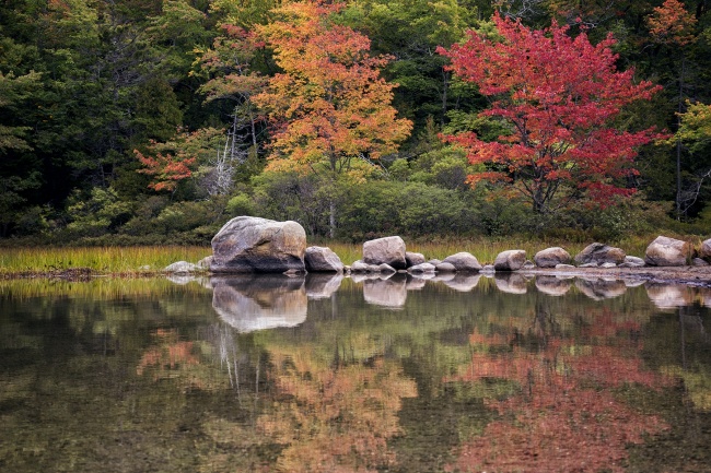 Echo Lake Beach, acadia national park, maine, reflection, fall, colors, trees, rocks, southwest harbor, east coast, mount desert island, cannon mountain, canada cliffs, somesville, beach,