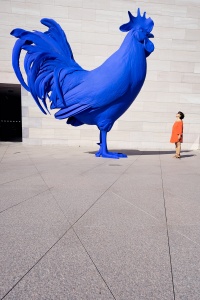 Katharina Fritsch’s Hahn/Cock, national gallery of art, blue cock, blue rooster, big rooster, rooftop, washington dc, instagram, community, igdc, walk with locals, photographers, local photographers, photo walks, meetup, gratitude, washington dc
