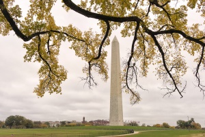 fall, autumn, national mall, washington monument, constitution avenue, early morning, sunrise, cloudy, washington dc, constitution gardens, alarm, branches, yellow,