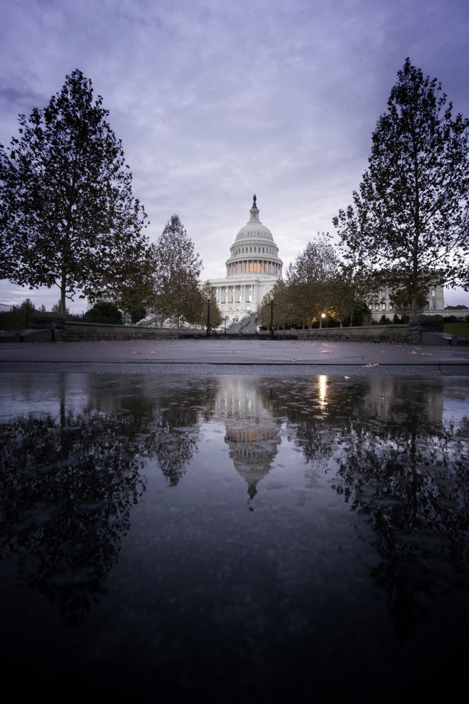 United States Capitol, Washington DC, sunrise, early morning, capitol building, reflection, puddle, steps, trees, autumn, fall, waking up, statue of freedom, capitol hill, east coast, government, photowalk