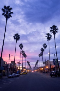 Ocean Beach, San Diego, california, palm trees, sunrise, photography, travel, color, socal, ocean beach pier, sky, weather, fog, beachfront, beach