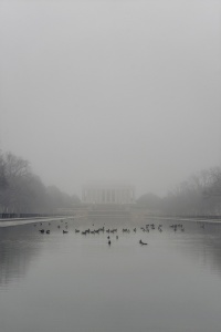 Lincoln Memorial, national mall, washington dc, reflecting pool, Canadian geese, weather, early morning, photowalk, photoshoot, fog, monotone,