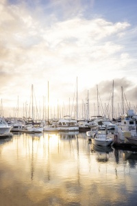 Point Loma Marina, san diego, west coast, california, socal, pt loma, sailboats, shelter island, yachts, early morning, sunrise