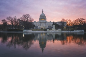 US Capitol, capitol building, reflecting pool, sunrise, early morning, pink, sky, washington dc, observing, watching, solo exhibition, one day