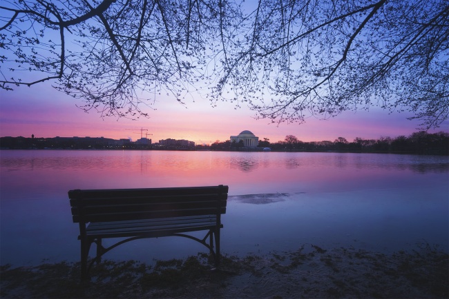 Tidal Basin Flooding, DC, sunrise, early morning, national mall, jefferson memorial, flooding, trust for the national mall, blue, reflection, west potomac park, visit, spring, rain, snow