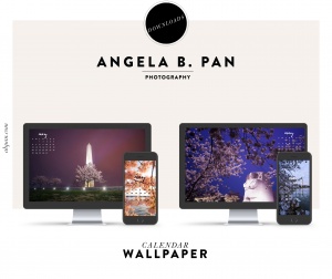 May 2018 Wallpaper Downloads, free downloads, free calendar, may 2018, washington dc, washington monument, cherry blossoms, flowers, spring, download, photography, martin luther king jr, memorial, mlkj