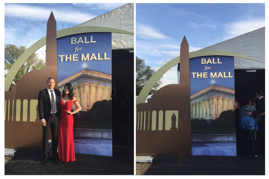 Ball for the Mall 2018, national mall, trust for the national mall, event, charity, madison dr, 12th street, Smithsonian National Museum of Natural History, 