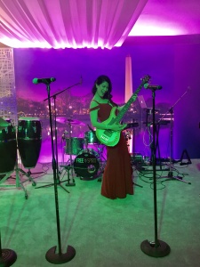 Ball for the Mall 2018, national mall, trust for the national mall, event, charity, madison dr, 12th street, Smithsonian National Museum of Natural History,