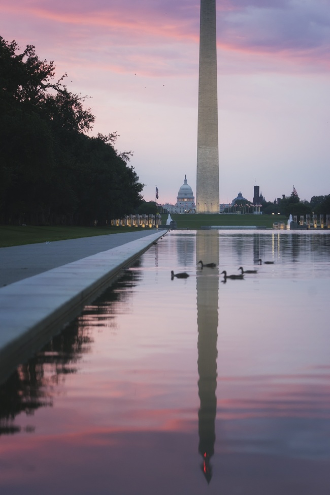 Reflecting Pool, washington dc, national mall, sunrise, pink, purple, ducks, washington monument, us capitol, summer, humid, hot, weather, reflection, wwii memorial, location, photo challenge