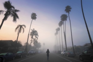 North Park, San Diego, socal, new years day, early morning, fog, sunrise, palm trees, university heights, california, ca, utah st