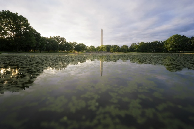 Garden in DC, constitution gardens, sunrise, early morning, photowalk, washington dc, national mall, washington monument, friends, pond, relax, nature, trees