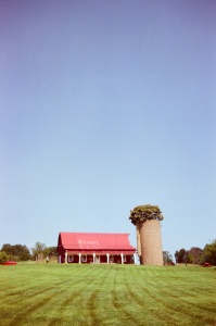 Canon T70, film, camera, kodak, gold 200, instagram, vintage, virginia, peach picking, red barn, delaplane, shih tzu, va, summer,