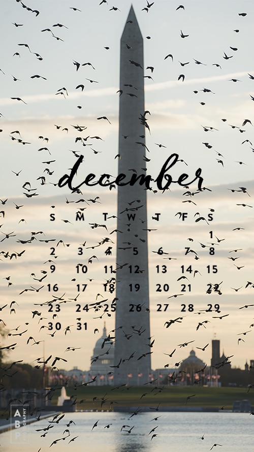 December Wallpaper Download_Angela B Pan