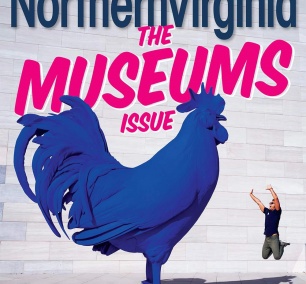 Northern Virginia Magazine December 2019, museum guide, washington dc, national gallery of art, nga, Katharina Frithsch's Hahn/Cock, blue rooster, rooftop, museums,