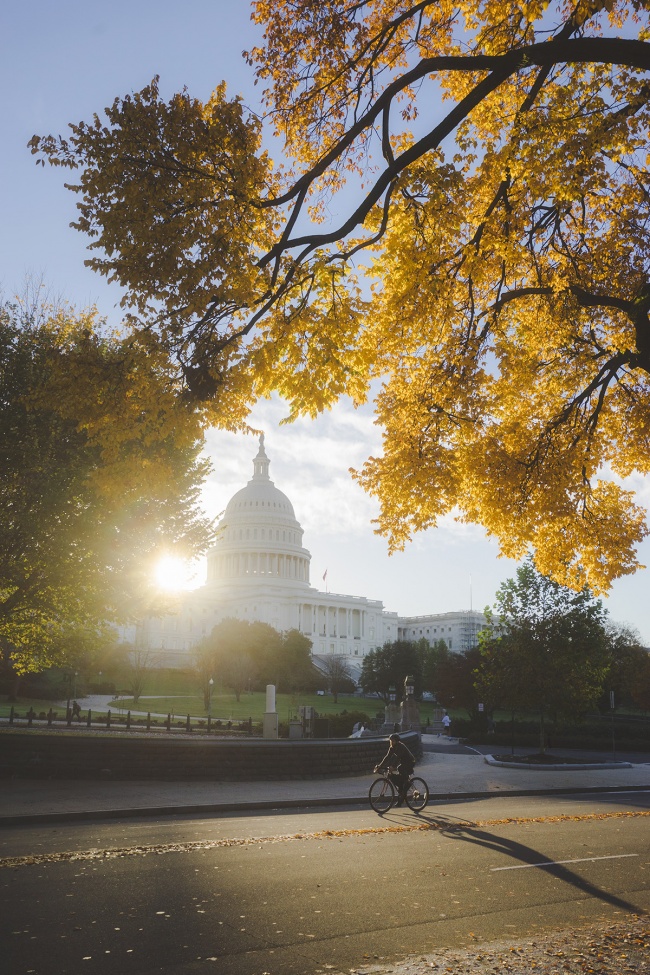 United States Capitol, Washington dc, us capitol, fall, autumn, capitol hill, government, architecture, office building, national mall