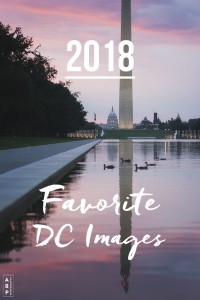 My Favorite Washington DC Images of 2018, national mall, washington dc, tidal basin, monuments, landmarks, memorials, visit, travel, west potomac park, us capitol, snow, winter, cherry blossoms, flowers, spring, snap dc, photo guide book, ball for the mall, gw parkway, reflecting pool, washington monument, ducks, sunrise, 4th of july, fireworks, independence day, bookstores, gift shops, anacostia, fall colors, foliage, photo walk, meetup, capitol columns, us arboretum, frankenstein, woopan,