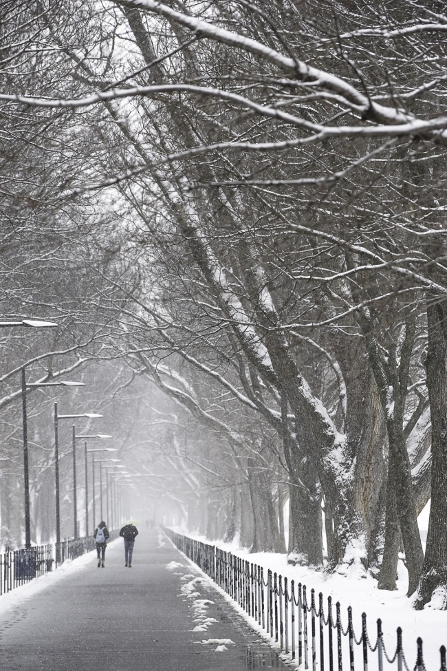 Snow at the National Mall, Washington DC, lincoln memorial, reflecting pool, depth, national mall, snow, winter,