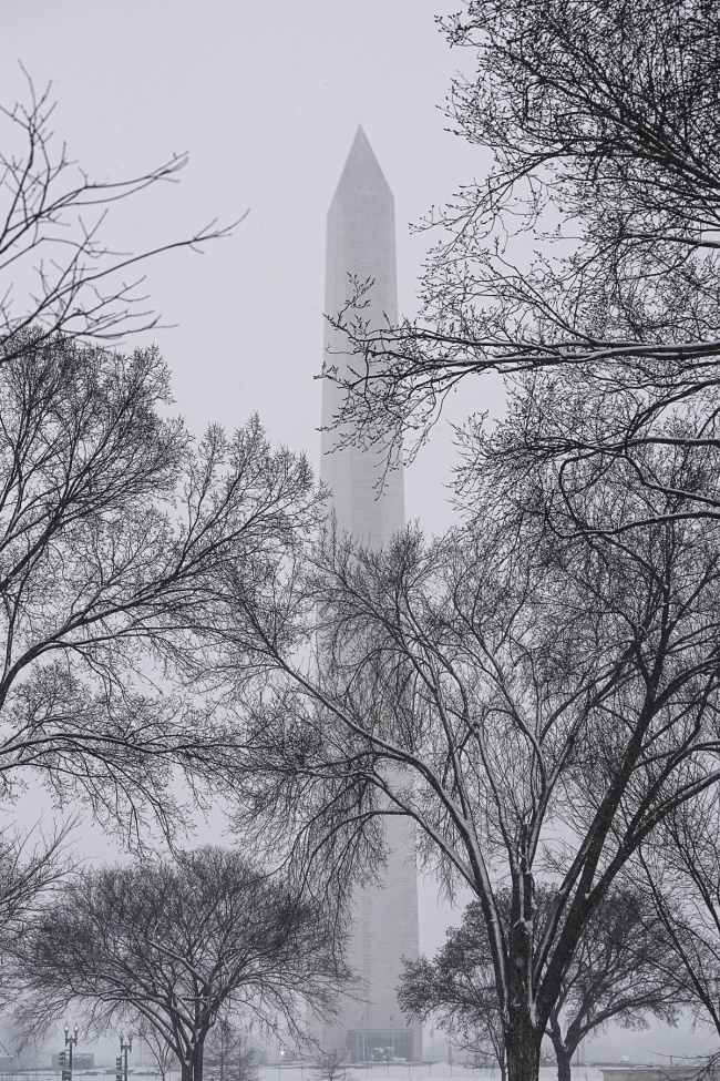 washington monument, washington dc, snow, winter, trees, national mall, metro, american flags, winter,