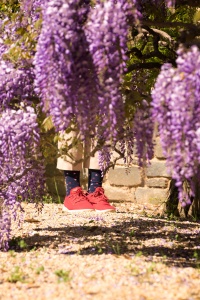 wisteria, flowers, spring, washington dc, dumbarton oaks, red shoes, hearts, georgetown, washington dc,