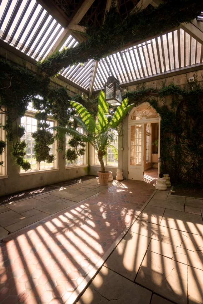 dumbarton oaks, orangery, washington dc, garden, dumbarton oaks museum, georgetown,