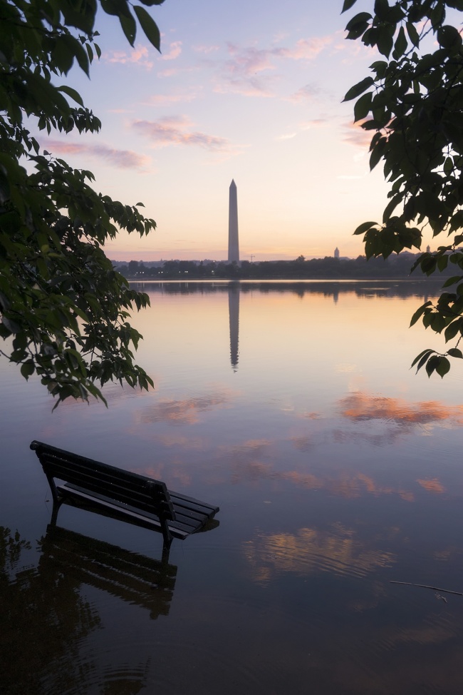 washington dc, national park, national mall, bench, flooding, tidal basin, washington monument, cherry blossom trees, preserve, protect, sunrise, west potomac park, clouds, reflection