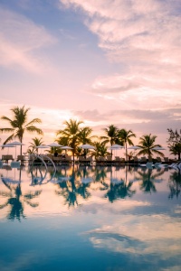 swimming pool, reflection, turks and caicos, club med, palm trees, infinity pool, sunset, caribbean, pool